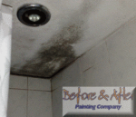 Mould problems should not be ignored.
